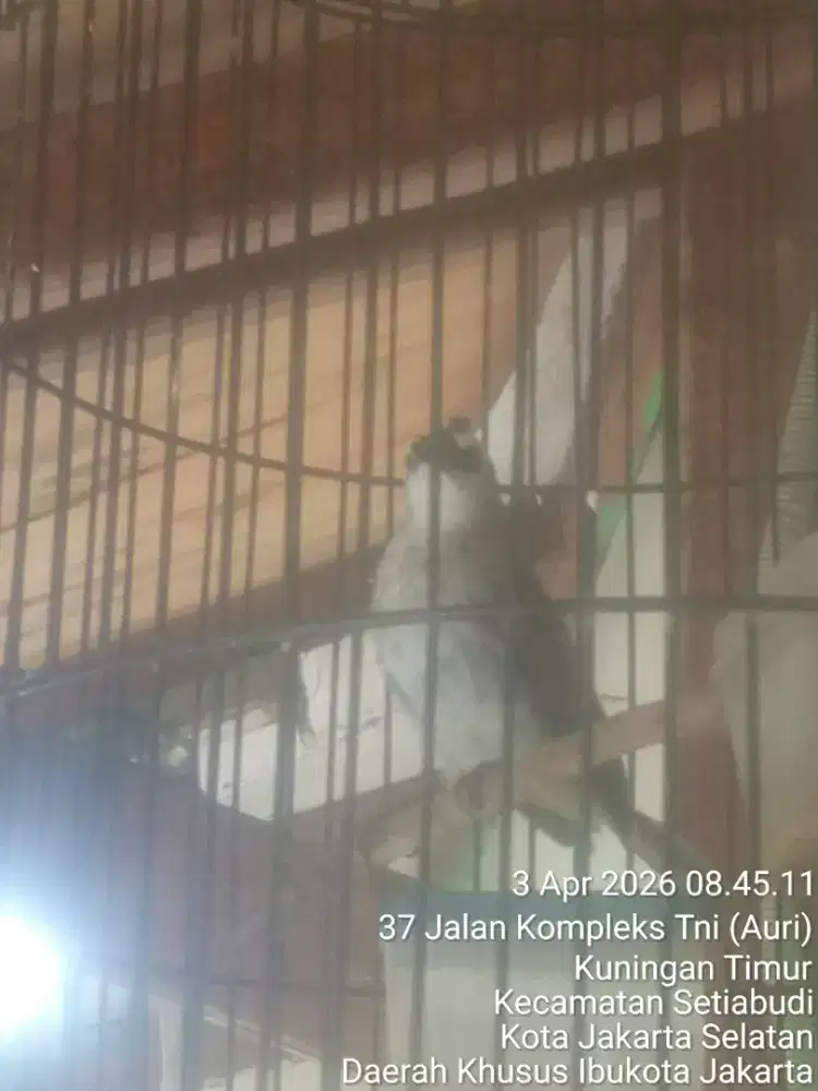 Jual santai sambil ngopi