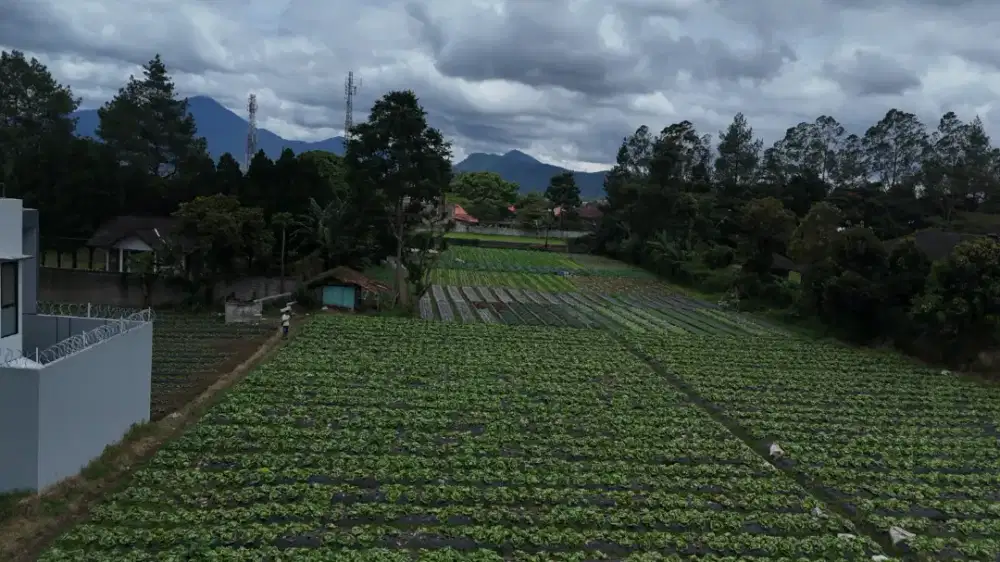 Dijual Tanah Datar Siap Bangun di Lembang