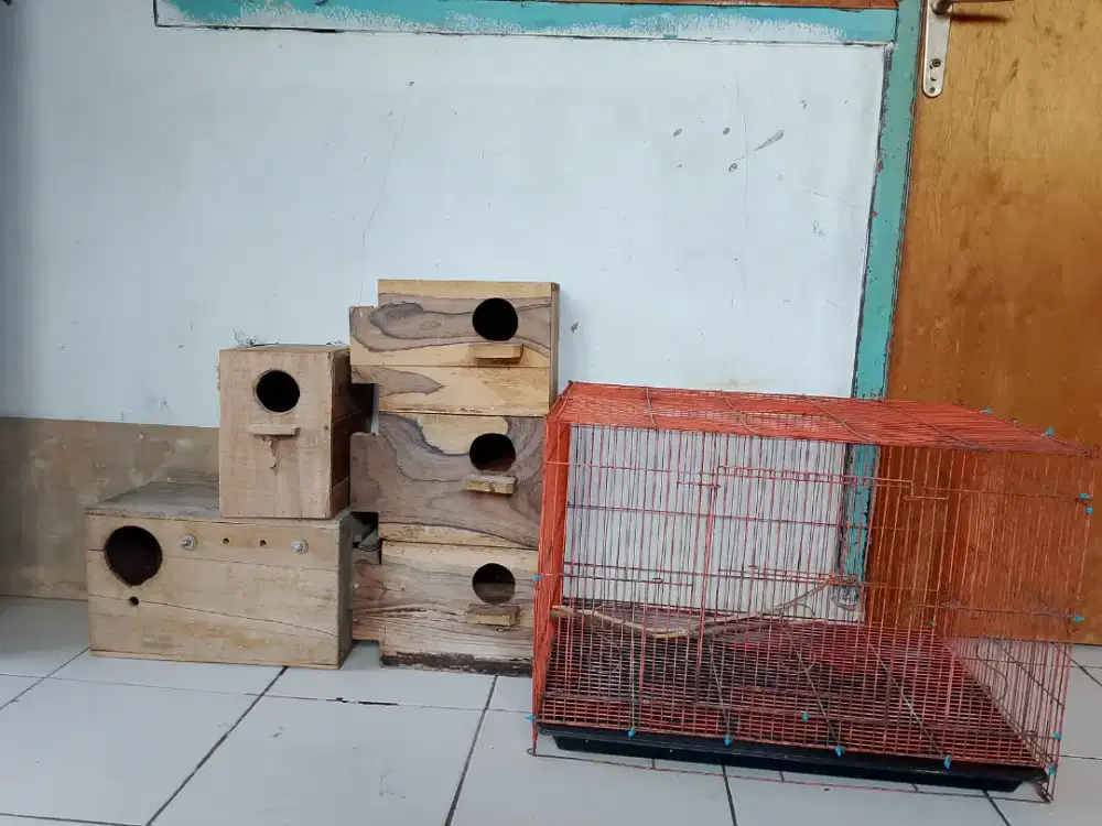 Kandang & Glodok edisi pensiun