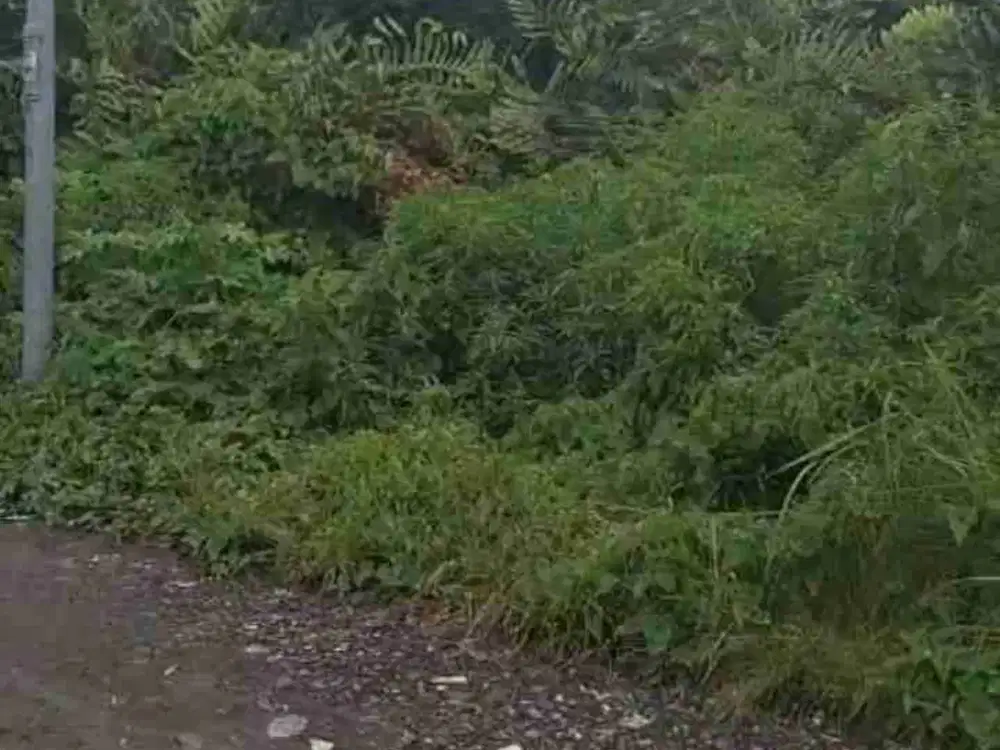 ‼️JUAL CEPAT‼️TANAH MEDOKAN SAWAH TIMUR COCOK DI KAVLING