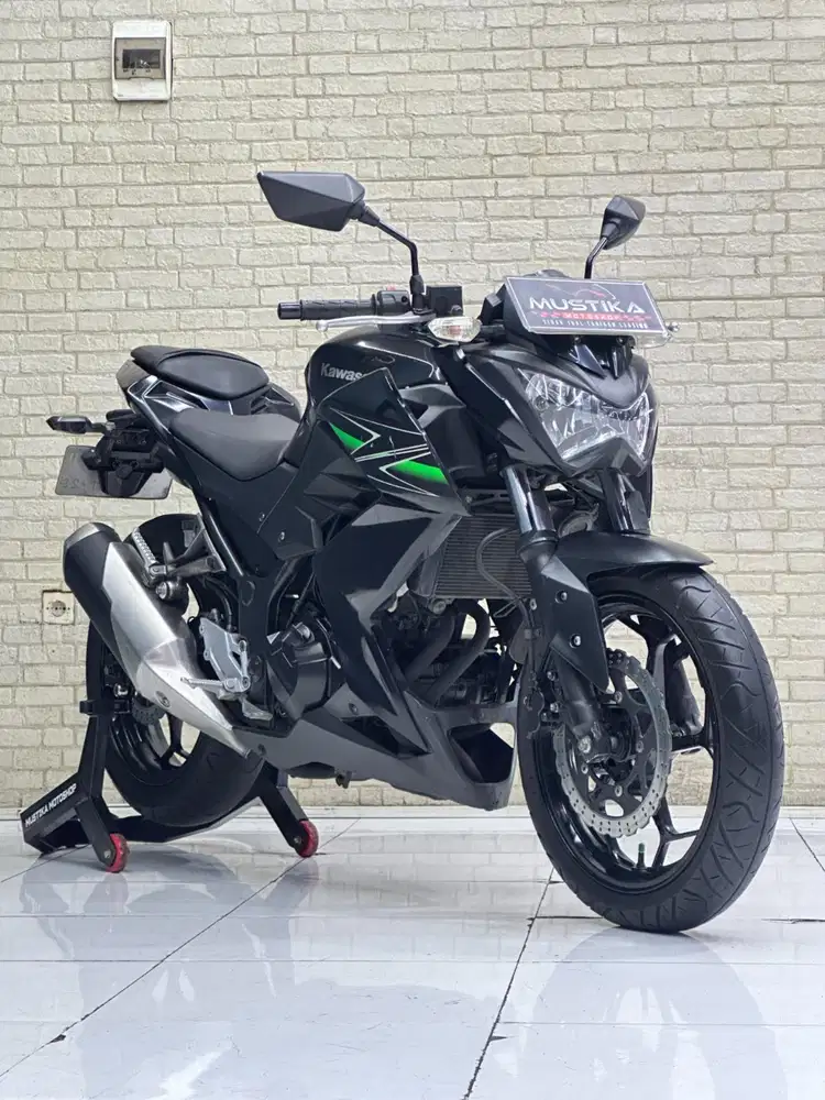 NAKEDBIKE 250 HARGA TERJANGKAU‼️ KAWASAKI Z250 TH 2013 MULUS NOPOL N
