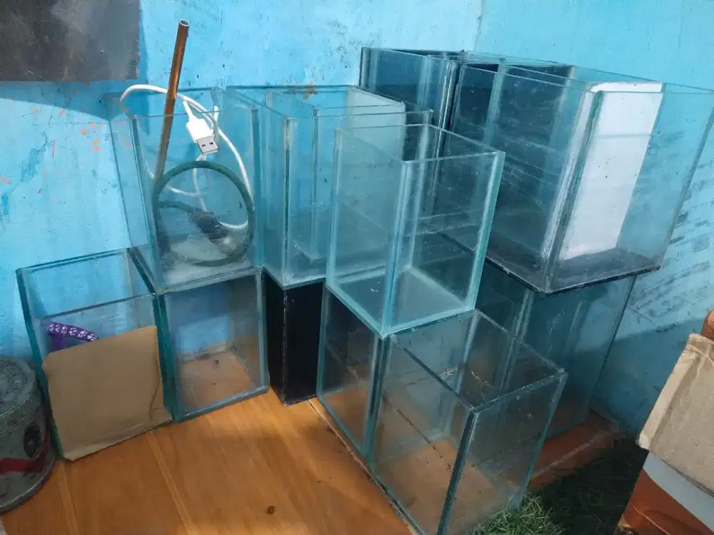 Soliter akuarium aquarium cupang