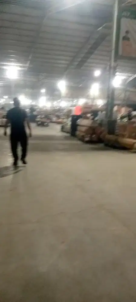 DI CARI PRIA BERMENTAL BAJA