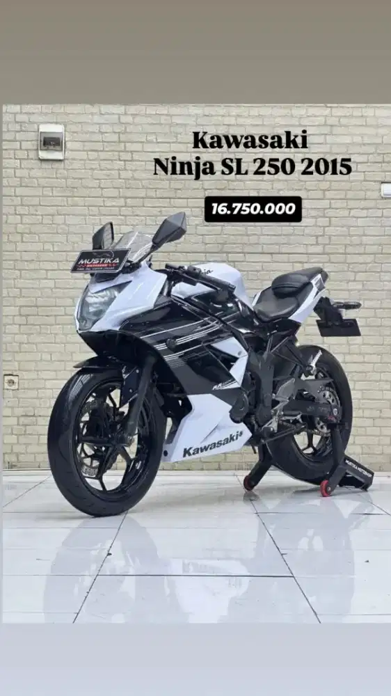 Kawasaki ninja SL250 2015