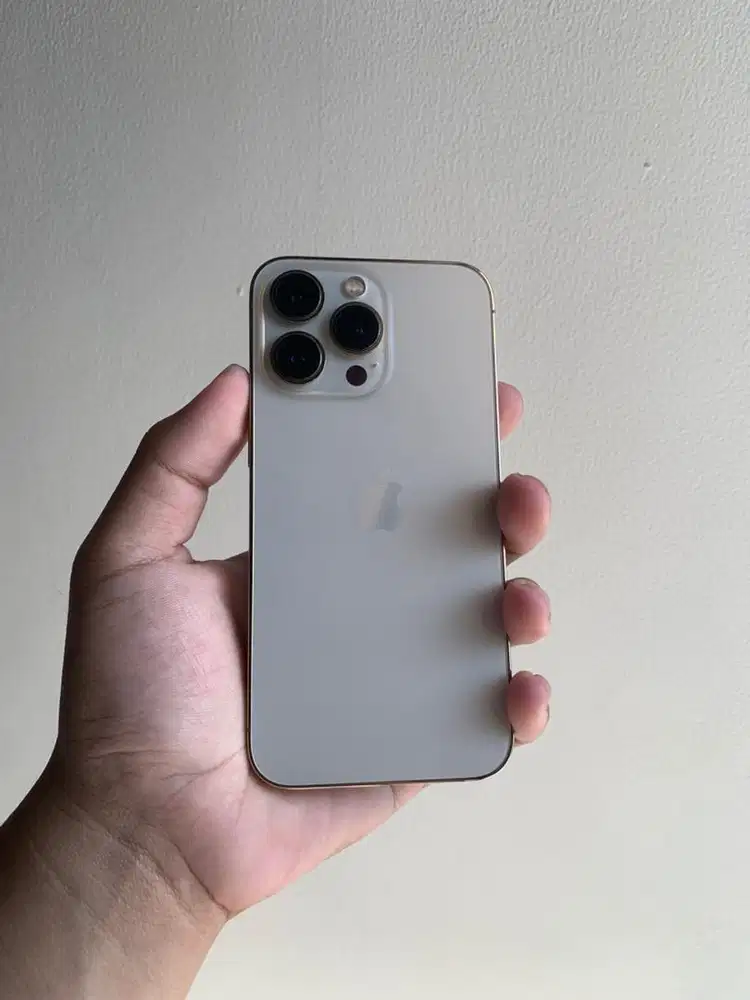 iPhone 13 Pro 128gb Gold All Operator