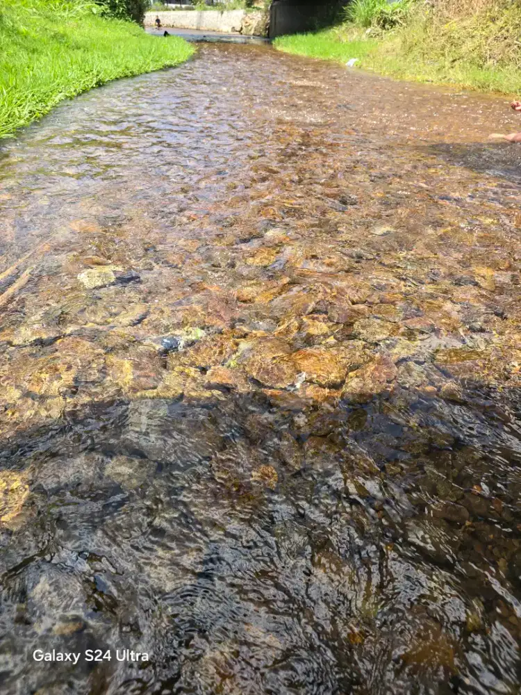 Dicari pegawai wanita untuk toko jilbab yang rajin dan jujur