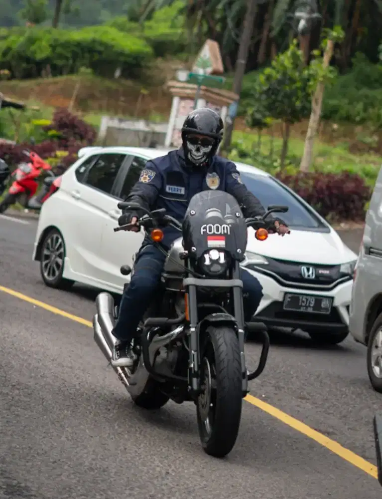 XR 1200 2010 Silver Full Paper