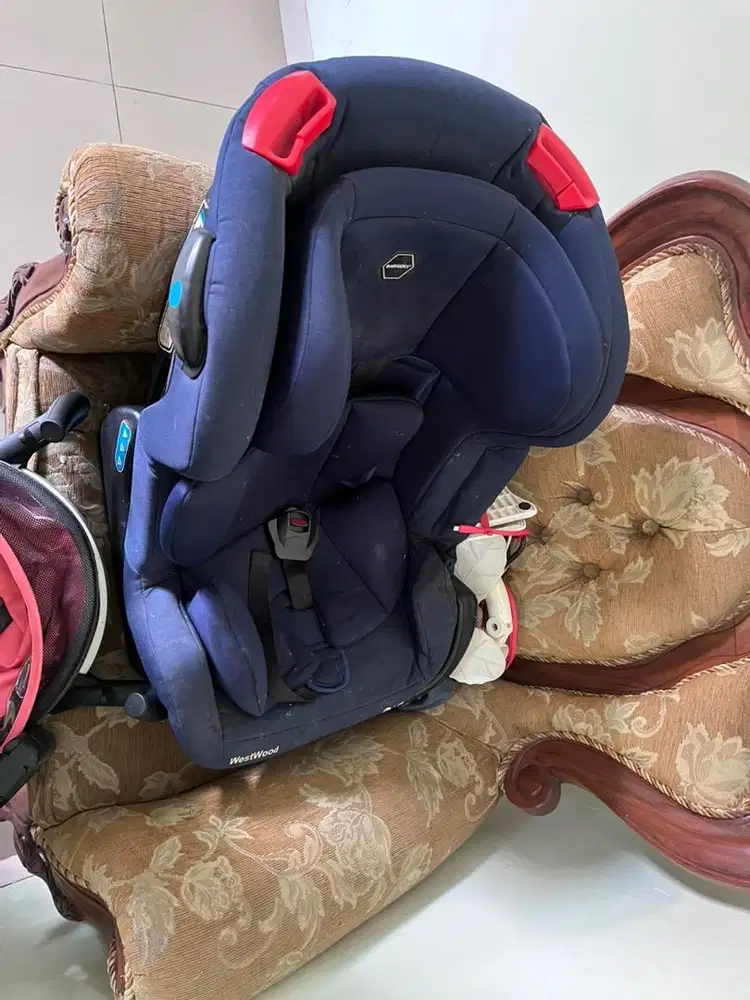 Carseat Babydoes