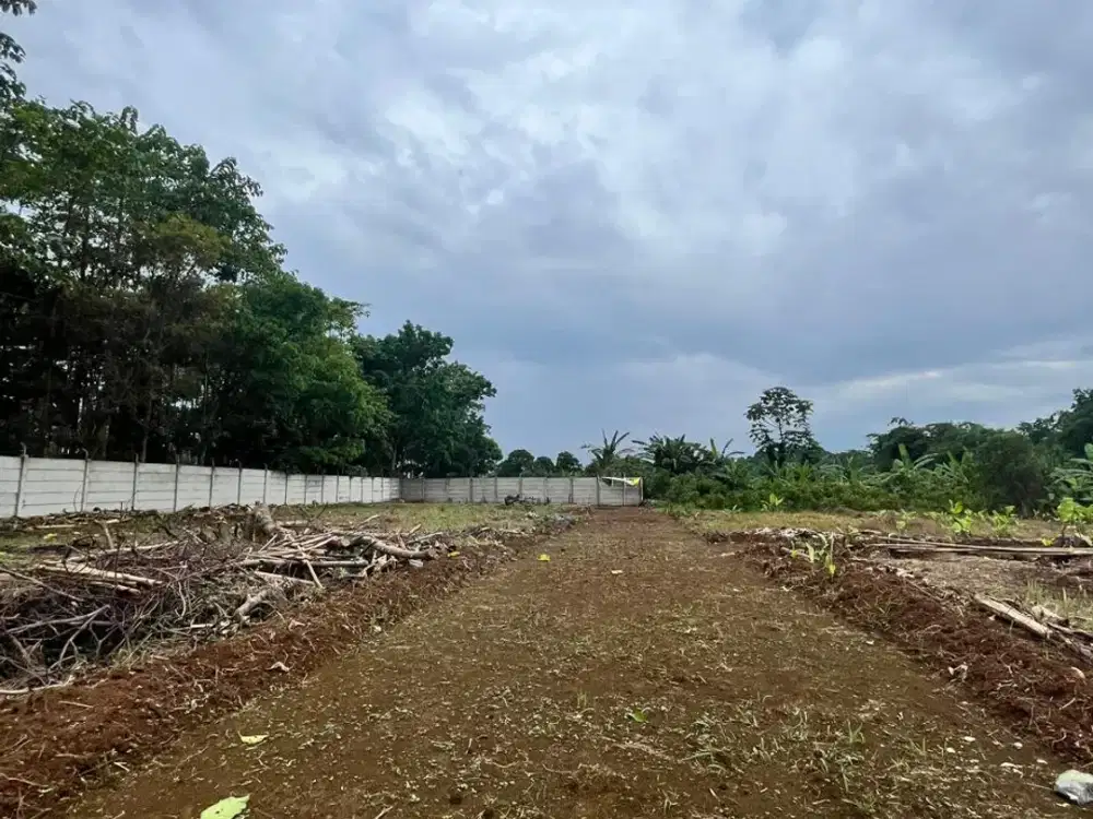Tanah Strategis Dekat BSD, Lokasi Asri Harga Murah