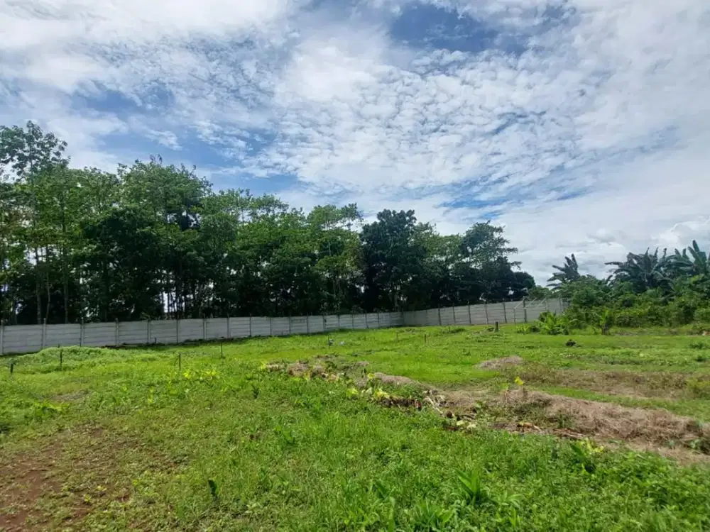 Jual Tanah Murah Cisauk, Harga Murah Lokasi Dekat Ke Stasiun