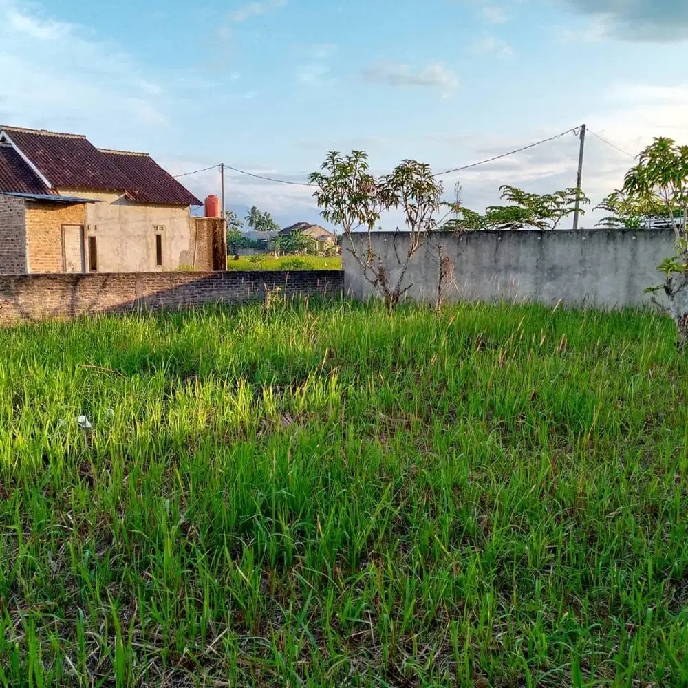 TANAH MURAH RAJABASA NATAR DI BELAKANG PASAR COCOK BUAT RUNAH HUNI