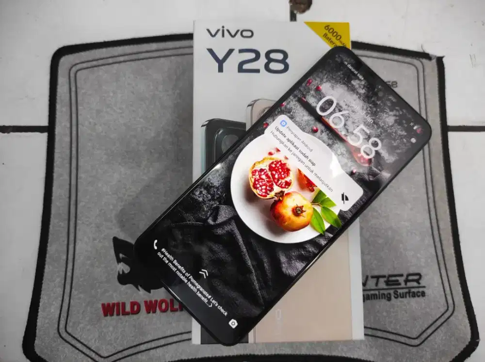 Vivo Y28 6/128 Resmi
