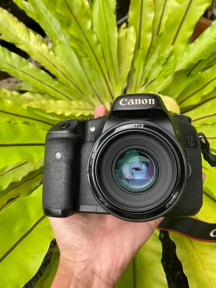 Canon 7D+Yn 50 f1.8 Murah