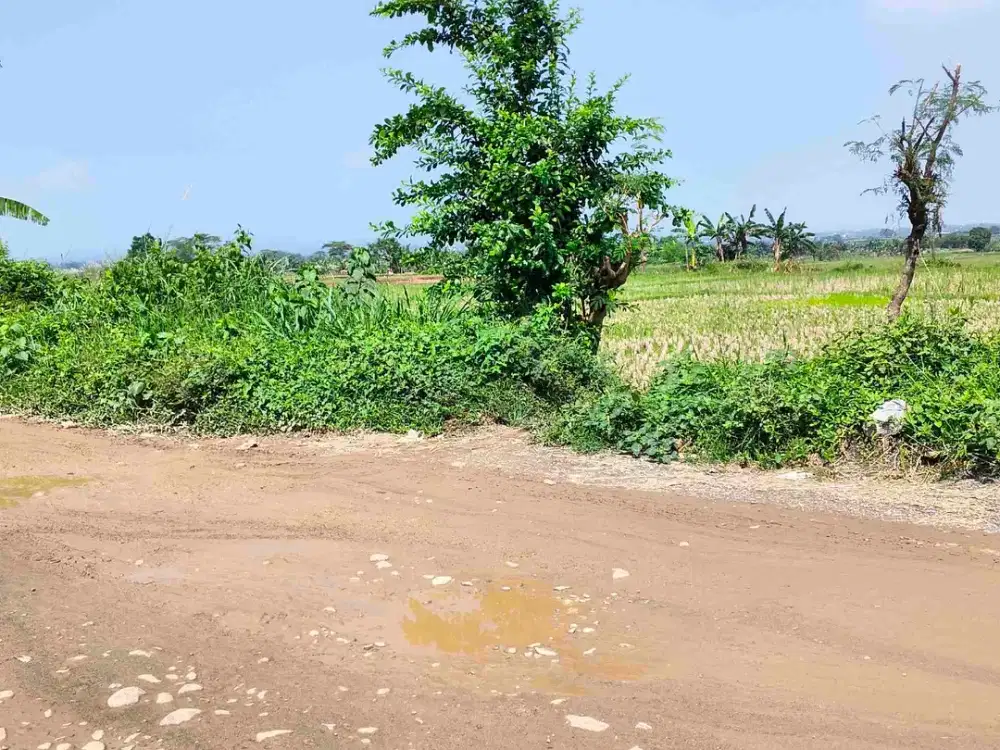 tanah masuk container besar di jonggol