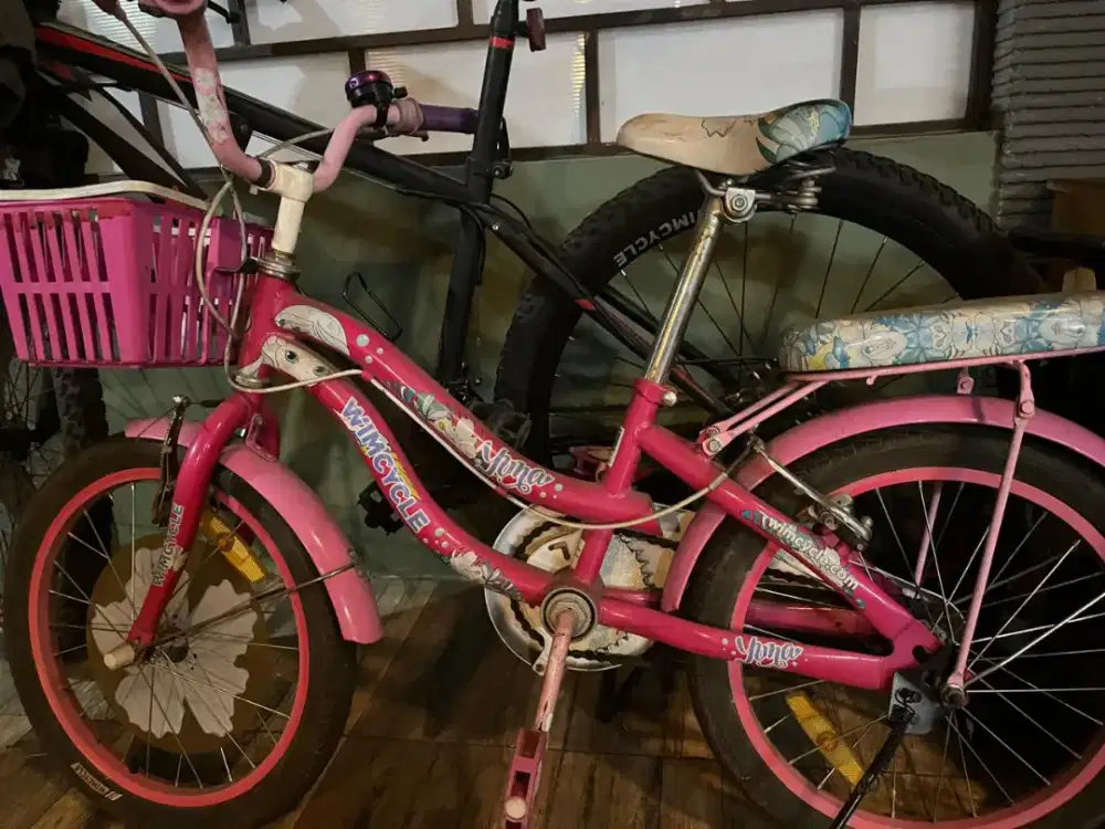 Dijual Sepeda Anak Wimcycle lengkap surat2