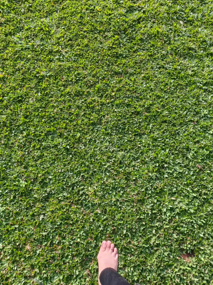 ART subuh sampe siang aja