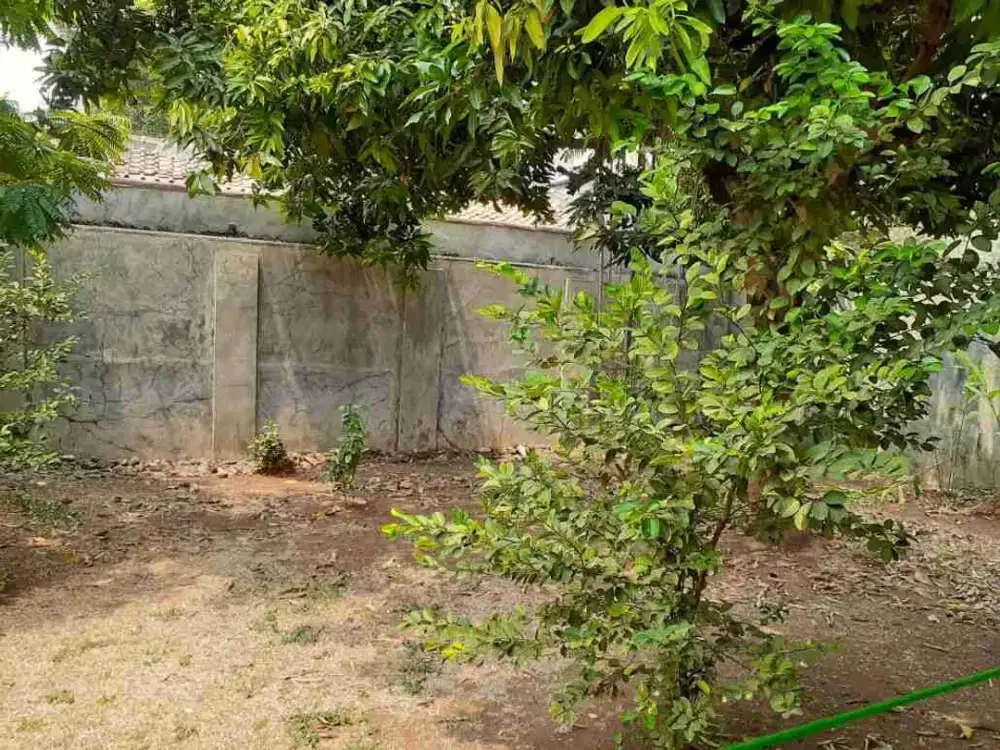 Di Jual Rumah Luas Tanah Besar