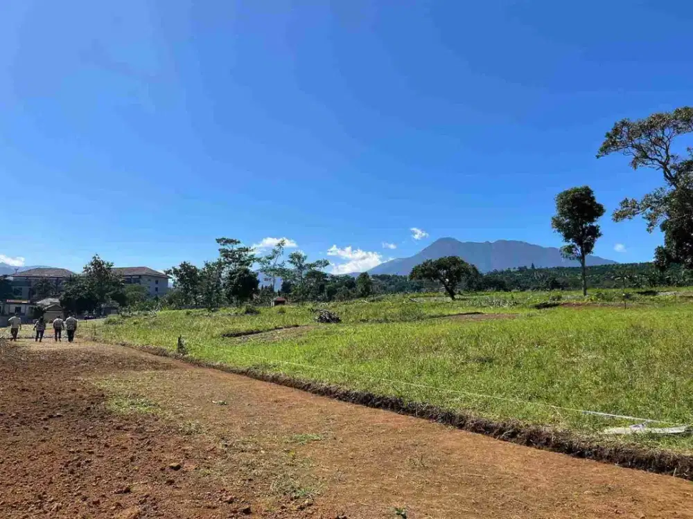 Tanah dijual luas 467m2 strategis puncak bogor dekat jalan raya