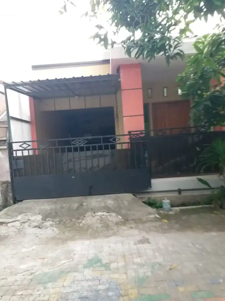 Di sewakan/ dikontrakan rumah