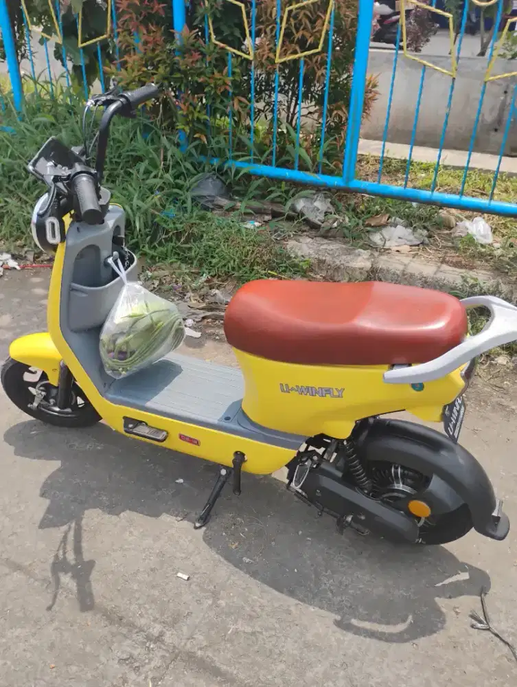 Sepeda listrik u winfly