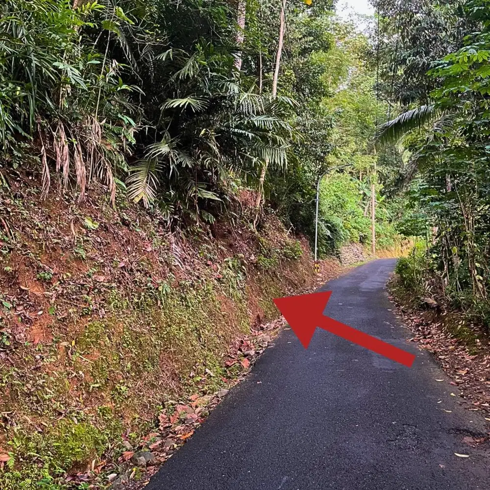 Di Jual Cepat Tanah Pekarangan Kaligesing Purworejo