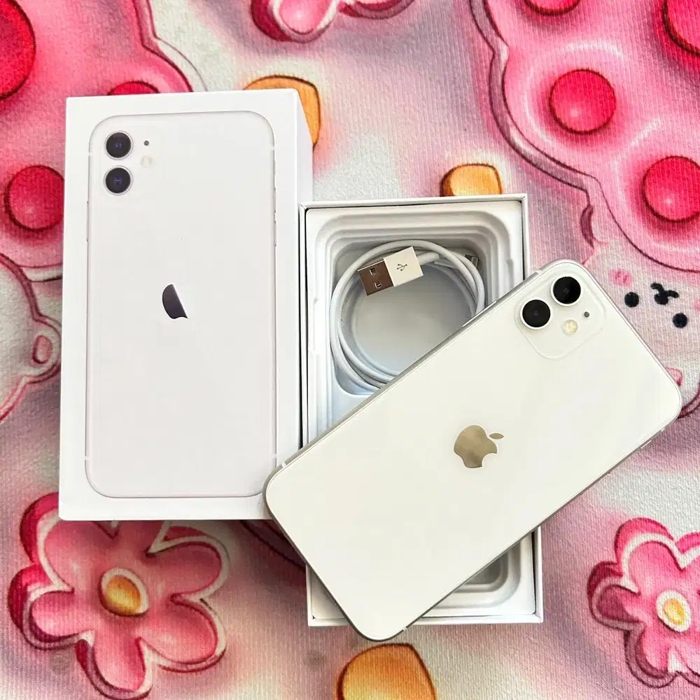 iPhone 11 Nominus Mulus