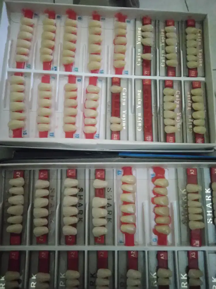 Gigi palsu panggilan