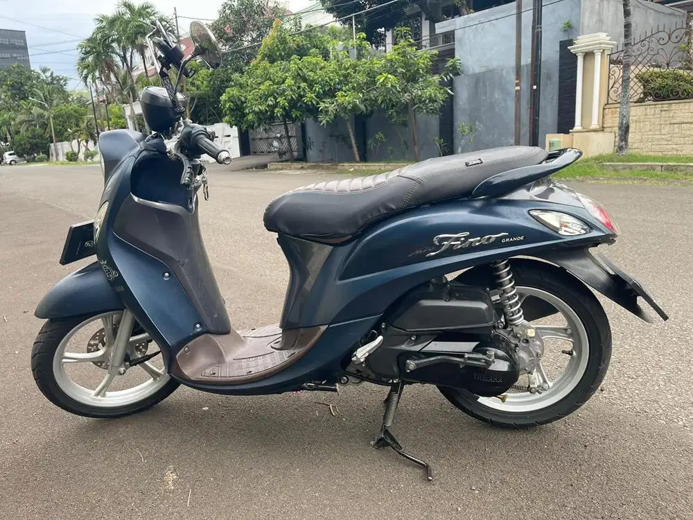 Fino Grande 2018 nevy