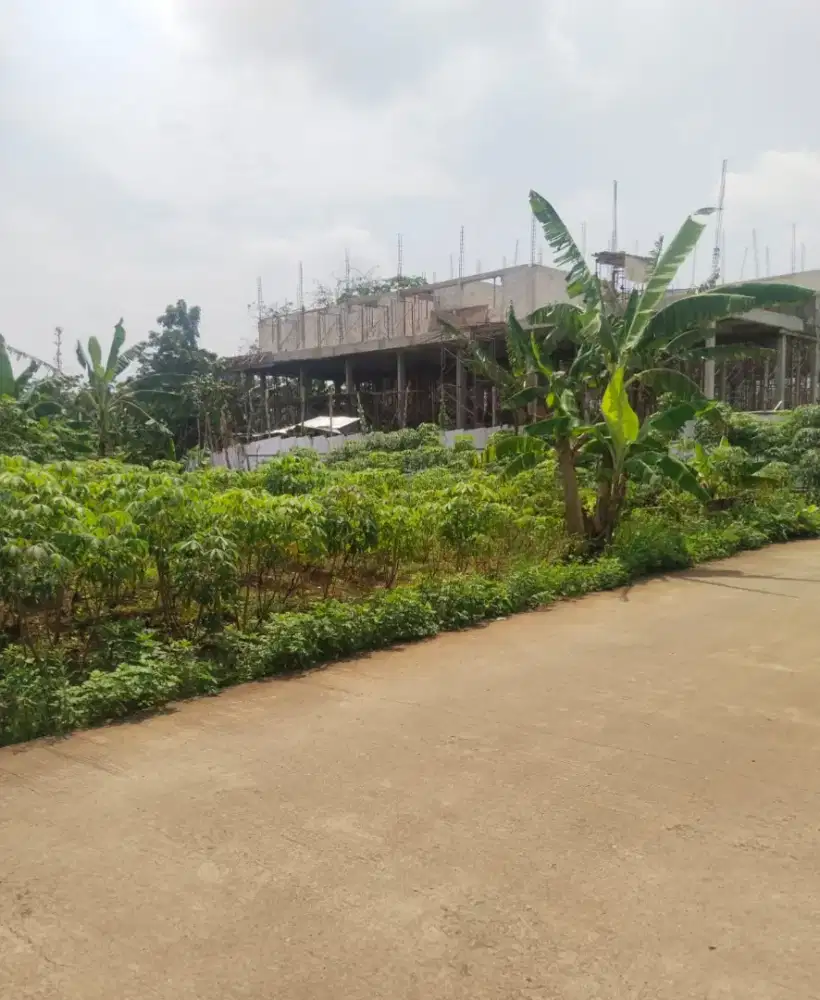 Tanah Strategis Dekat Undip Tembalang