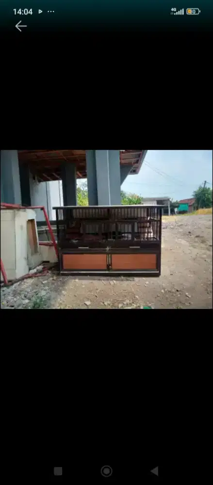 kandang almini semua hewan