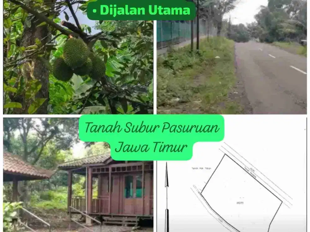 Jual Tanah kebun Pasuruan