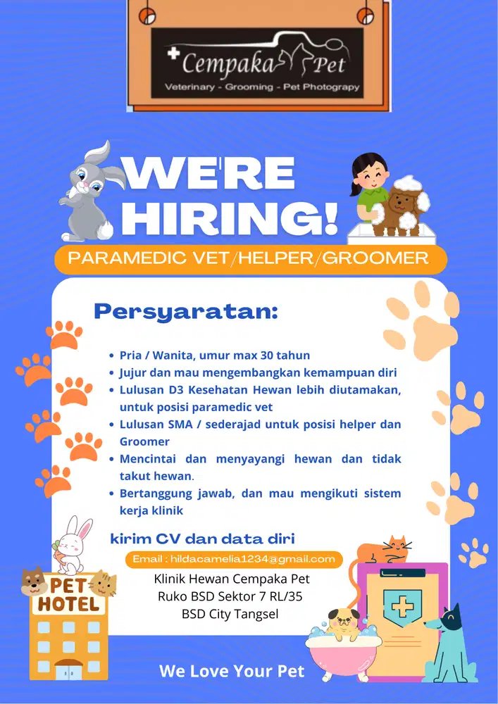 Dibutuhkan Pet Sitter, Helper  dan tenaga salon hewan”