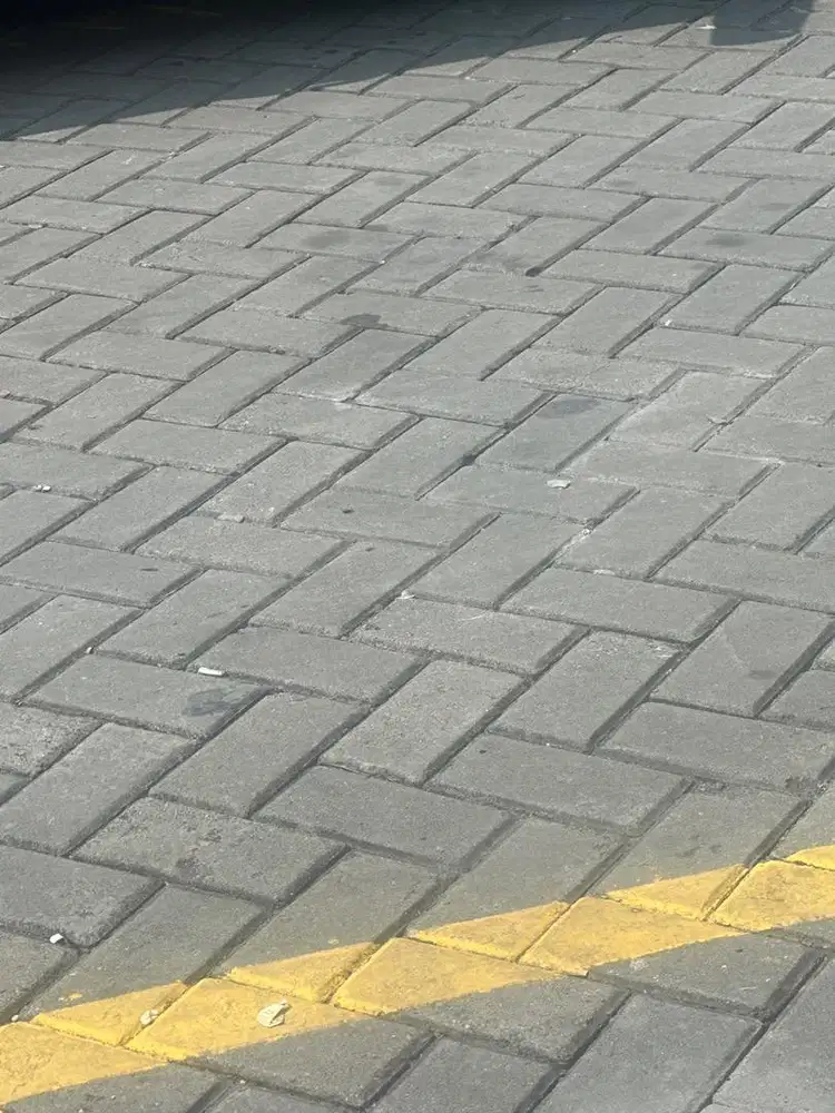 Asisten rumah tangga Art pulang pergi (PP)