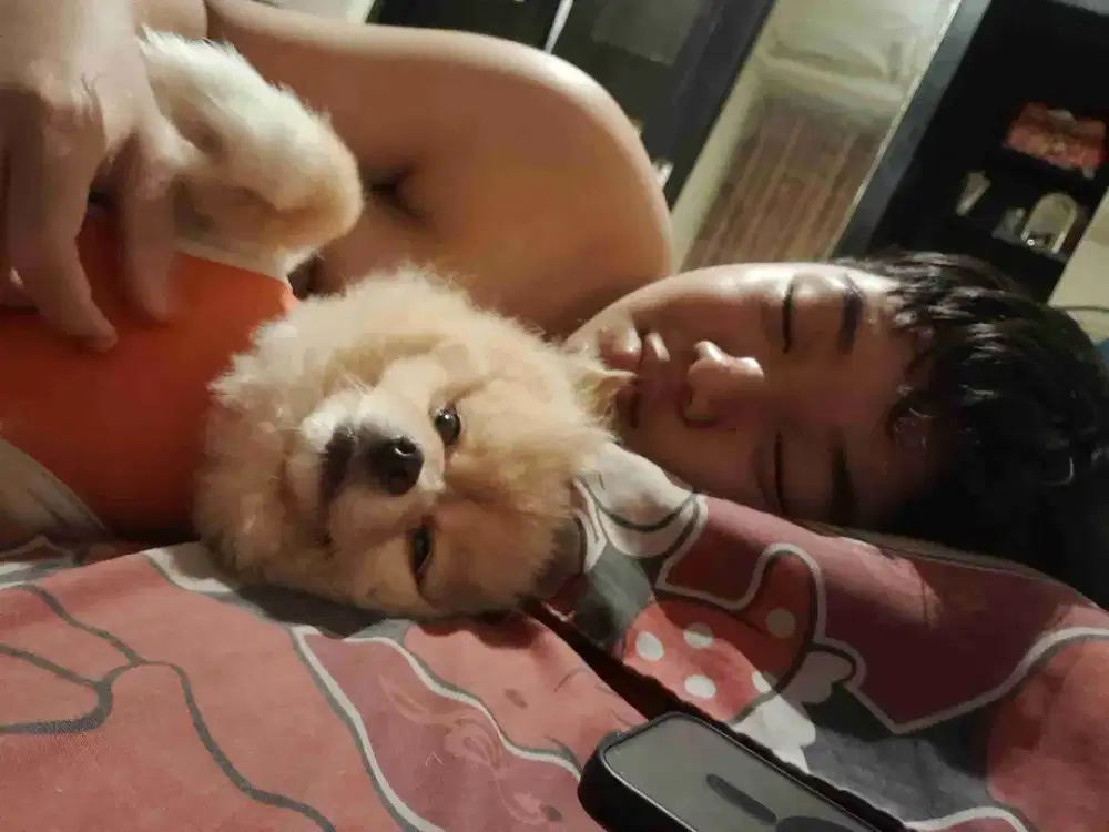 Di Sewakan Apartemen Green Park View 2br