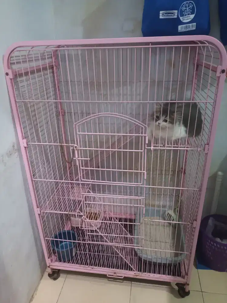 Jual kandang kucing