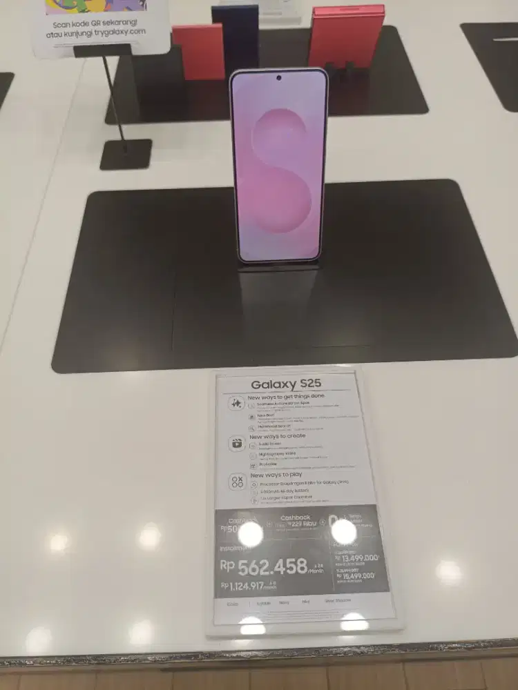 Samsung Galaxy S25