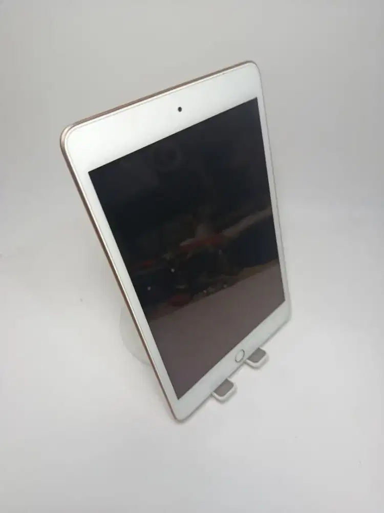 Apple iPad Mini 5 bisa Pencil lengkap