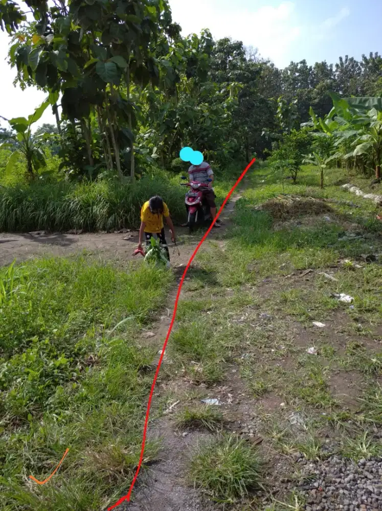 Tanah Dijual di Karangwuni Ceper Klaten