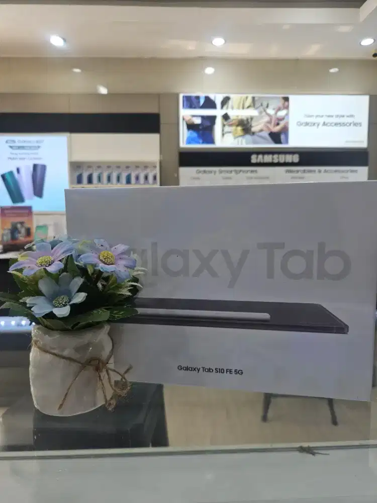 Samsung Tab S10fe 5G