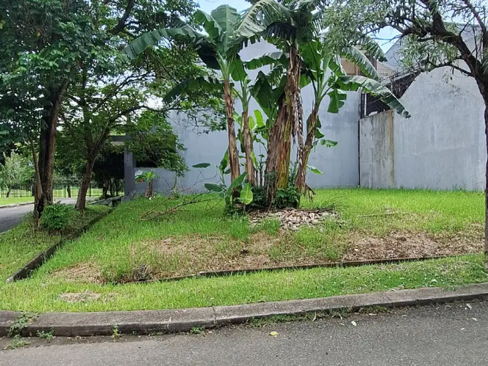 Tanah Luas 236 M² Cluster Hawai Di Deltamas