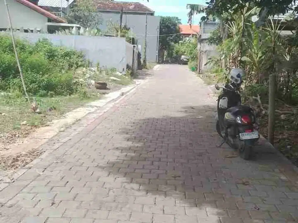 dijual tanah 3 are IDR 650 juta per are dekat politeknik & kampus unud jimbaran badung bali