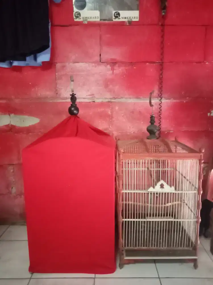 Kandang burung kotak