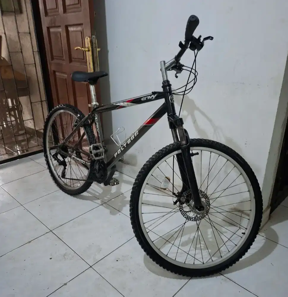 Sepeda gunung polygon