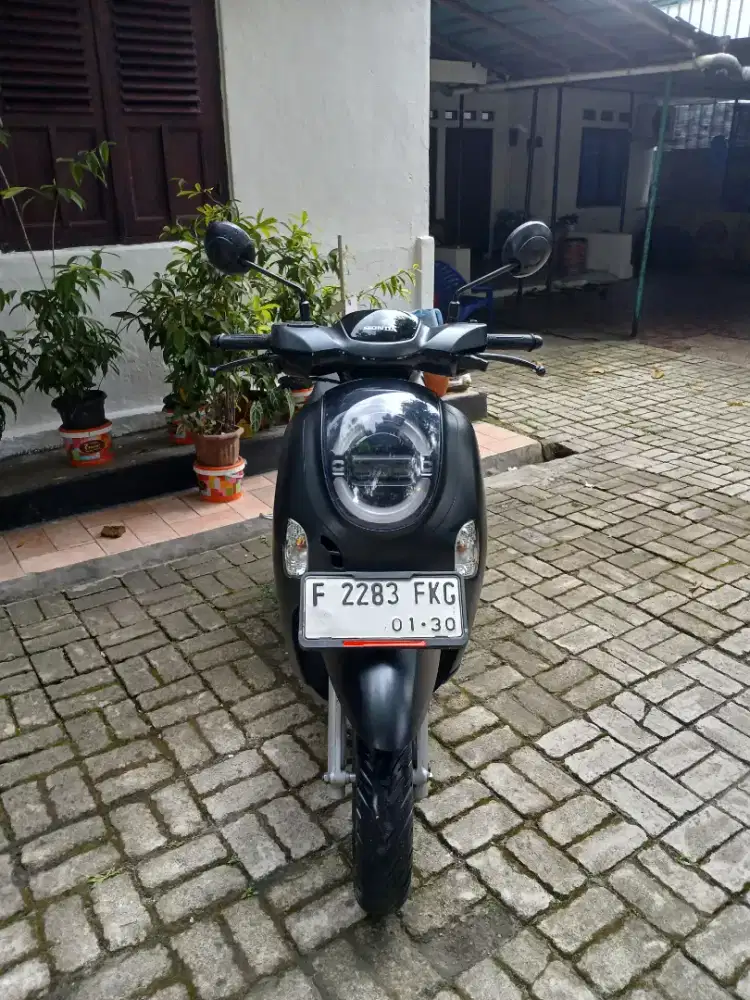 Scopy prestige 2024 new