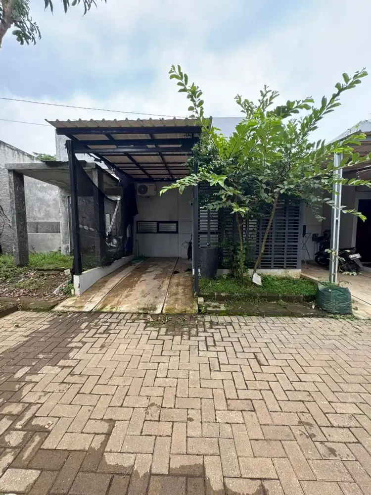 Disewakan Khusus Tahunan