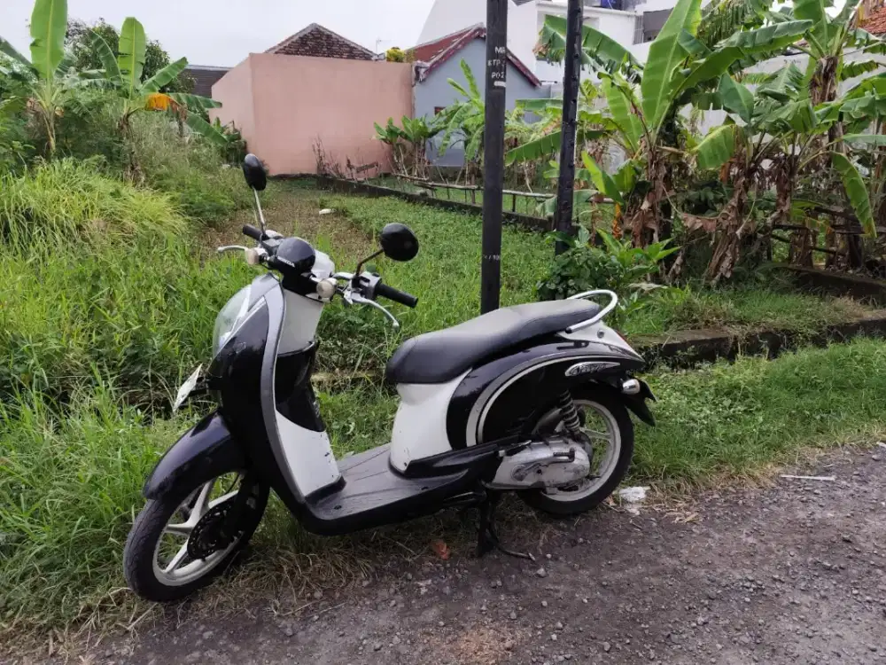 Scoopy Karbu Classic