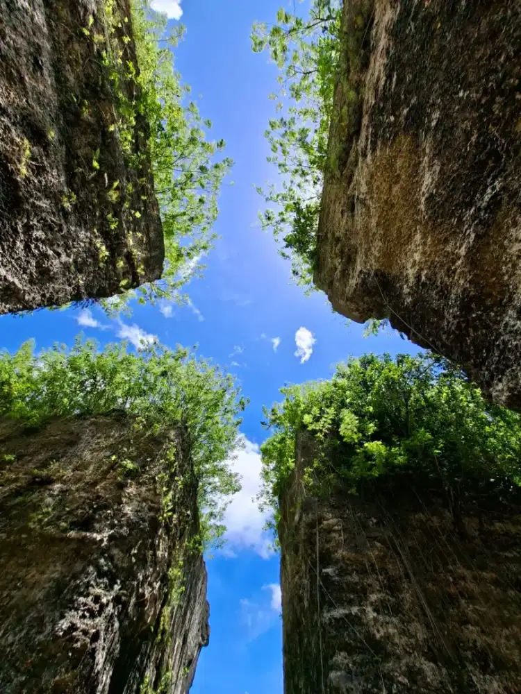 Lowongan driver taxi online