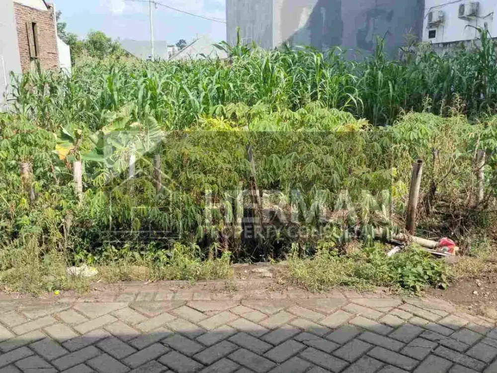 Tanah Tembalang Bulusan Undip