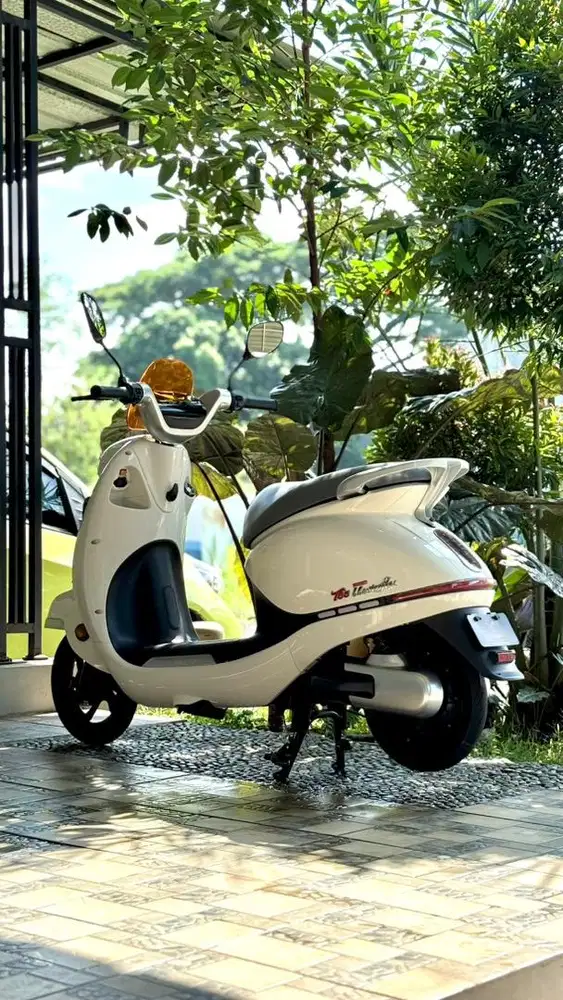 Sepeda Listrik U-Winfly T65L - Mulus, Lengkap & Bergaransi