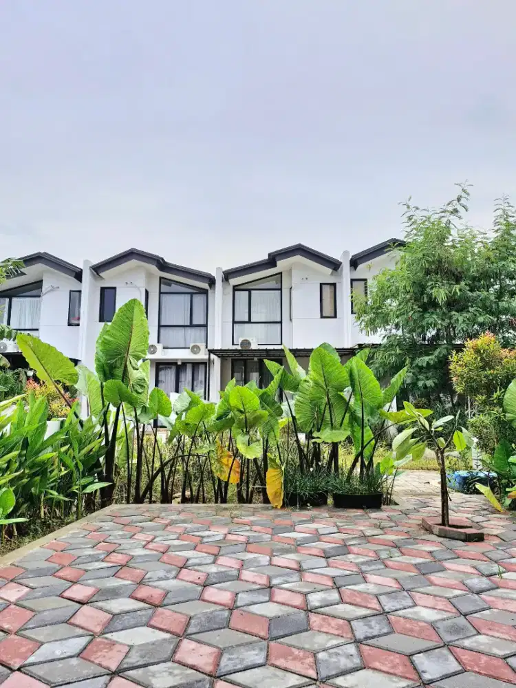 Asisten Rumah Tangga